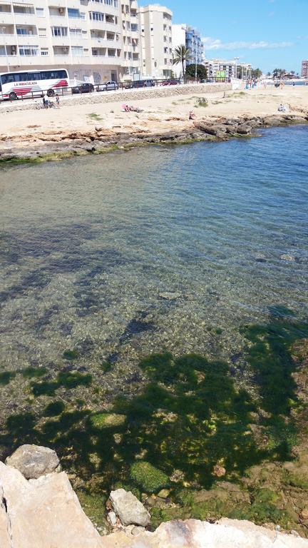 Apartamento Mariposa Lägenhet Torrevieja Exteriör bild